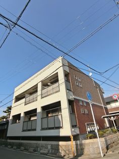 アンジュリナの画像