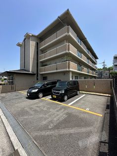 パレス中もずの画像