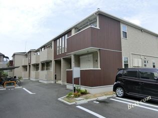 コーラル リーフの画像