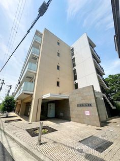 サワー・ドゥ白鷺の画像