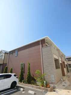 メロウ グレイスの画像