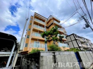 ヴィバーチェの画像