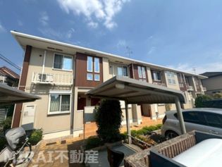 カンフォーラの画像