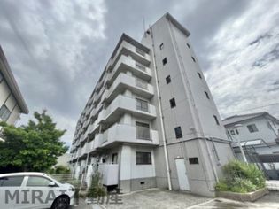 ルネアルマーニの画像