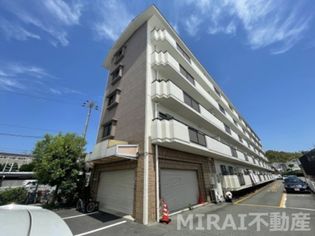 ドムール祐村の画像