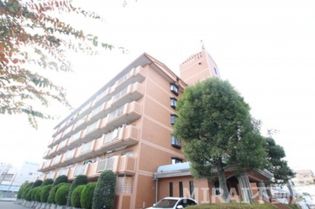 ドルミ・イヌイの画像