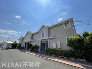 ビバ・ユズの画像