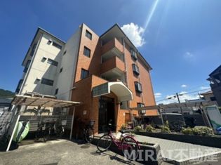 エコーハイツIIの画像