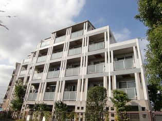 ウィンベルソロ西武球場第一の画像