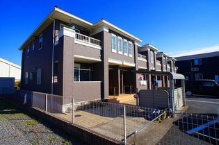 チェリーブロッサムの画像