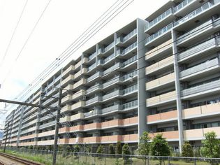 ゼファーアートフィールズ フェアステージの画像