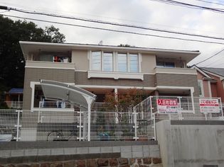 M・Sの画像