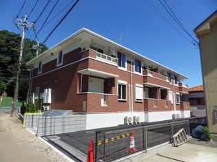 グリーン グレイスの画像