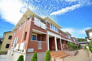 ノース プリムラの画像