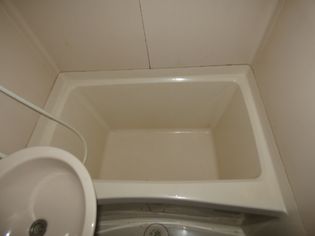 サンライズベルの画像