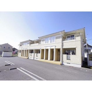 アプリコットの画像