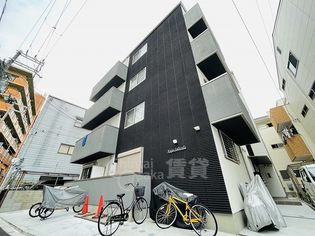 九条Solitailaの画像