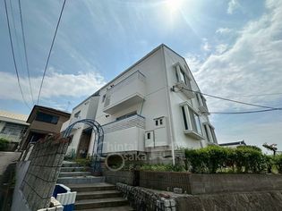 ワールドハーモニーの画像