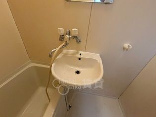 シロハイヌの画像