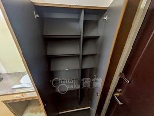 シロハイヌの画像