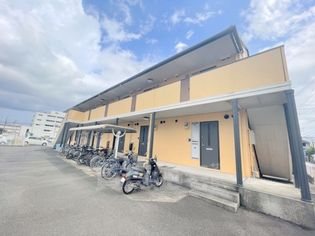 コート桂の画像