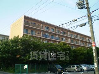 枚方ハイツ9号棟の画像