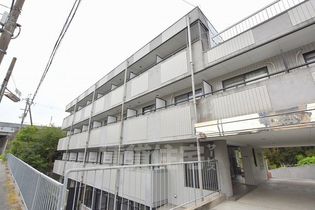 レイナ錦織の画像