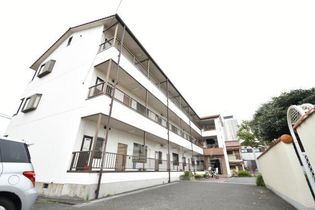 ハイツトビの画像