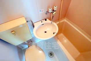 シャイニング桃山の画像