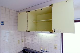 シャイニング桃山の画像