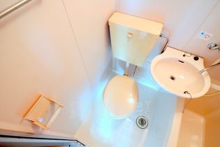 シャイニング桃山の画像