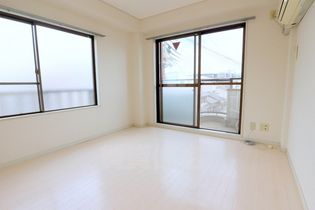 シャイニング桃山の画像