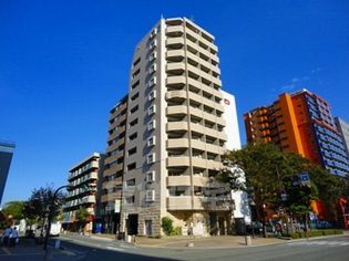 サヴォイエイペックスの画像