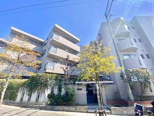 セレーブルの画像
