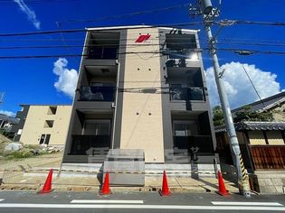 F asecia Ruminaの画像