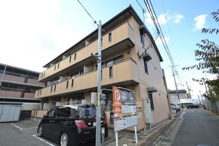 サザングレイスの画像