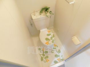 コンフォート太陽の画像