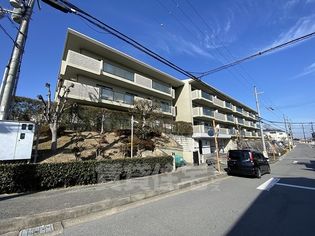 シャンティーあやめ池の画像