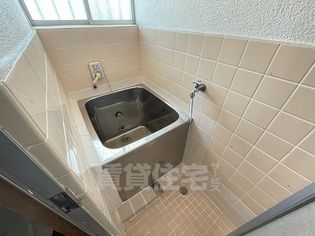 大物文化の画像