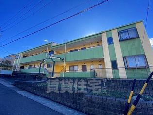 メリーメリーBの画像