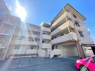 ビューハイム茶の木の画像