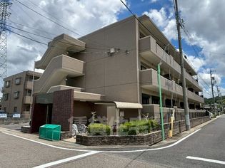 レージュ至来の画像