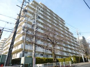 杁中スカイタウン A棟の画像