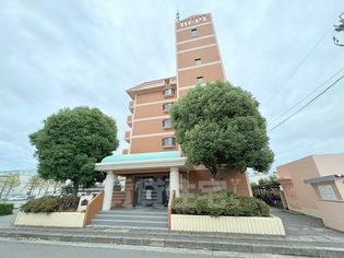 ドルミ・イヌイの画像