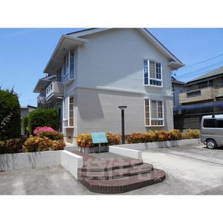 エクセルグリーンの画像