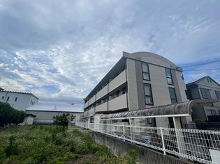 ピュア河原の画像