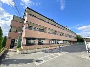 サンライズ・フジの画像