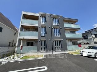 カリーノディモーラの画像