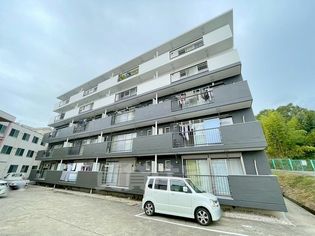 ライトコートの画像