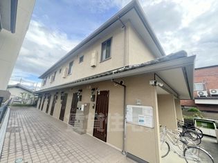 ツゥリーフの画像